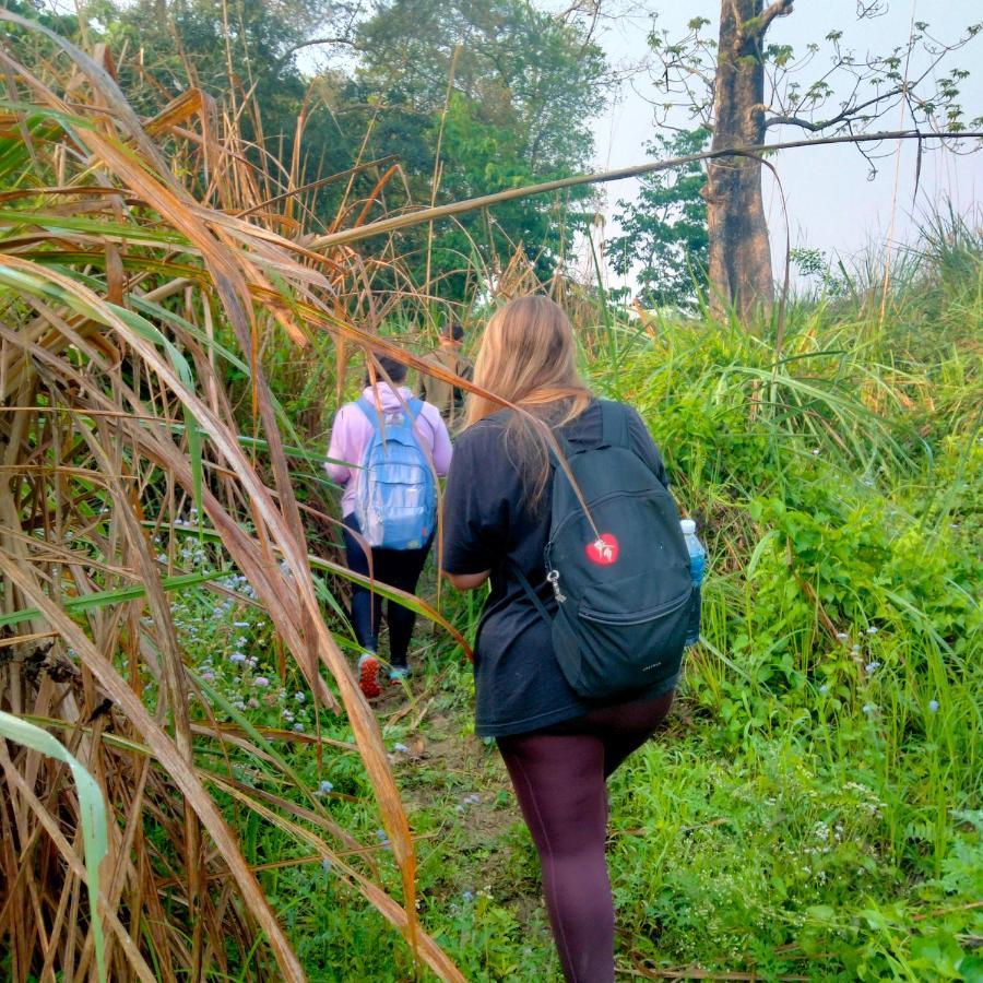 Hotel Tiger Tops Sauraha Exteriör bild