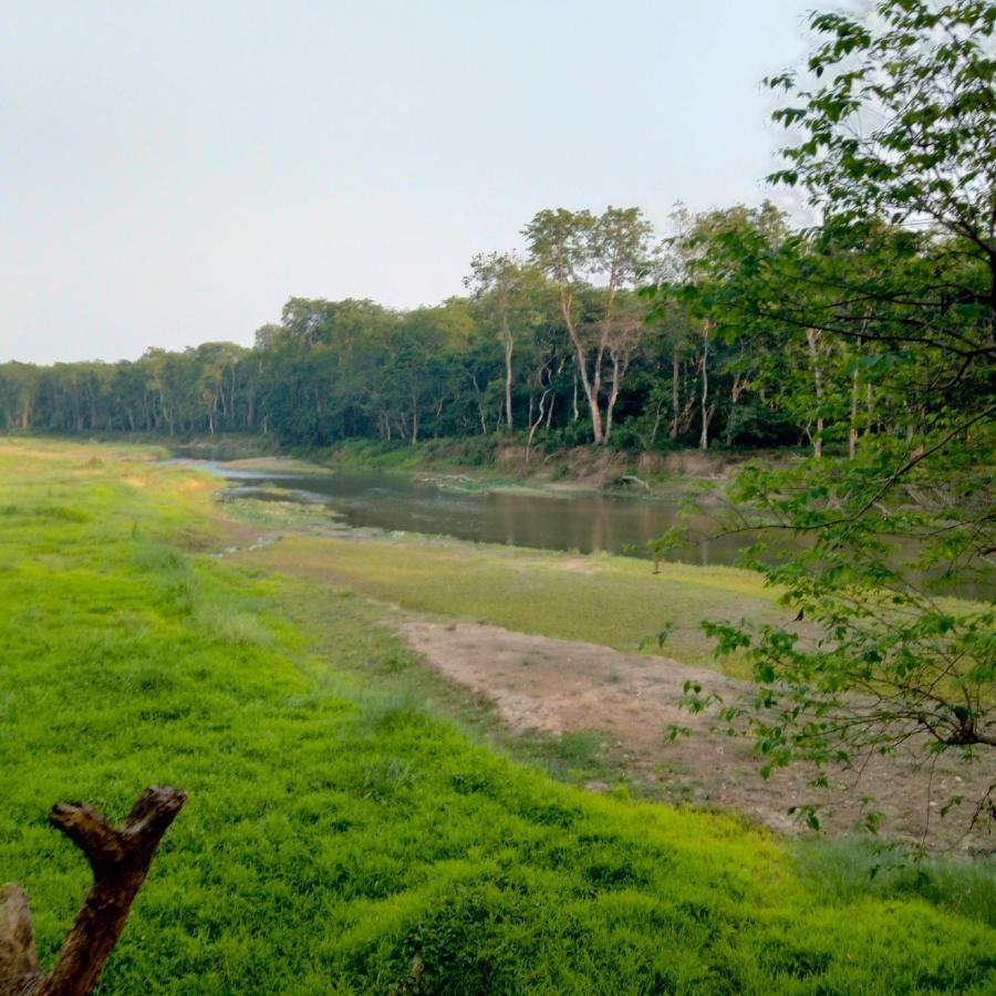 Hotel Tiger Tops Sauraha Exteriör bild
