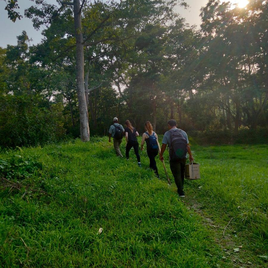 Hotel Tiger Tops Sauraha Exteriör bild