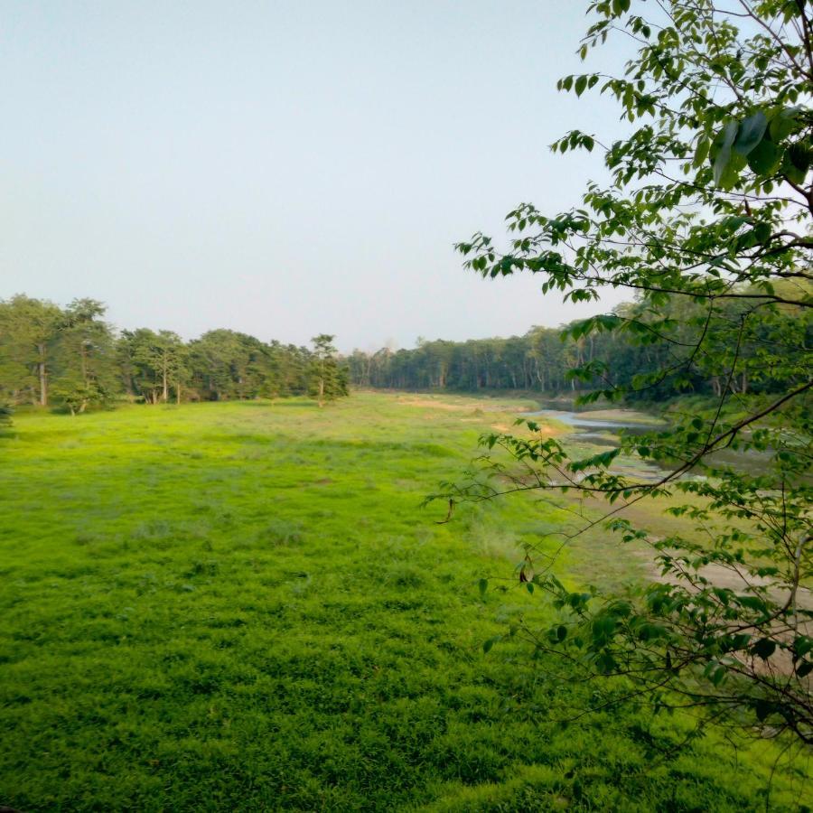 Hotel Tiger Tops Sauraha Exteriör bild