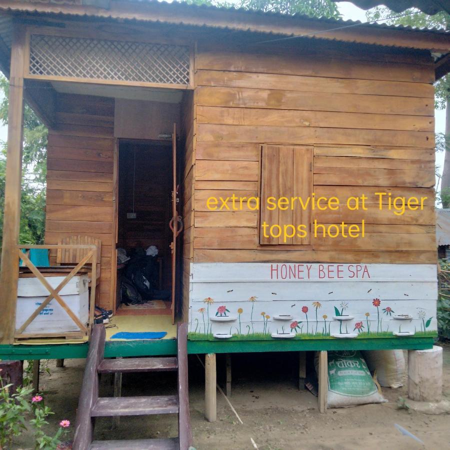 Hotel Tiger Tops Sauraha Exteriör bild
