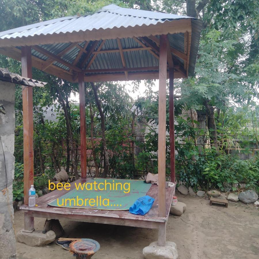 Hotel Tiger Tops Sauraha Exteriör bild