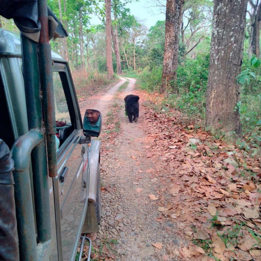 Hotel Tiger Tops Sauraha Exteriör bild