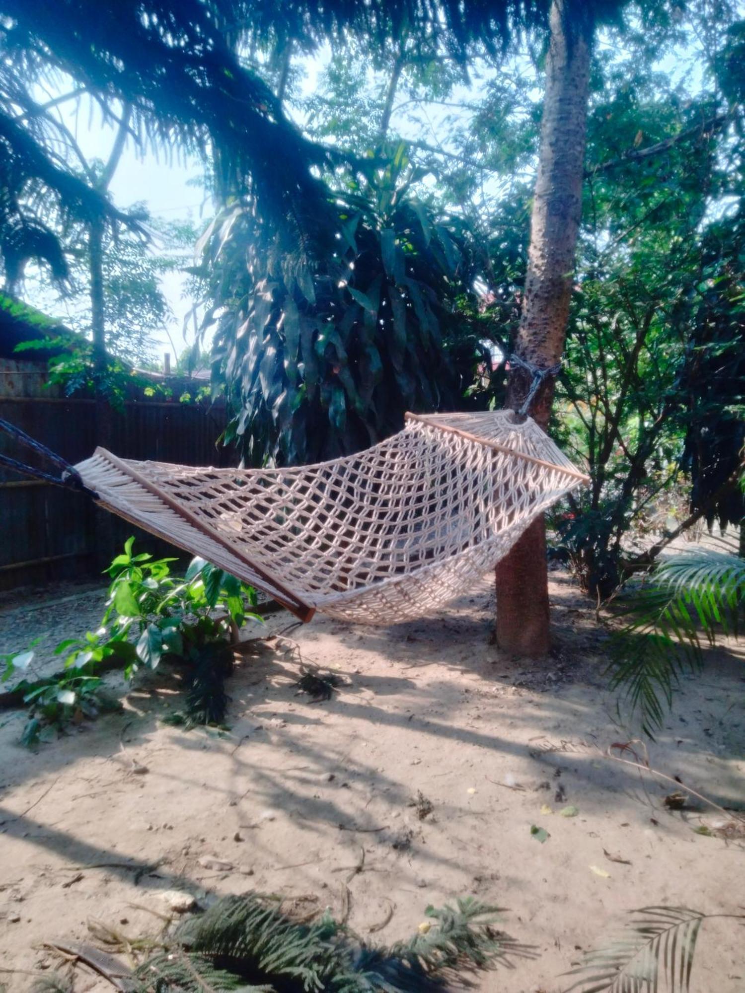 Hotel Tiger Tops Sauraha Exteriör bild