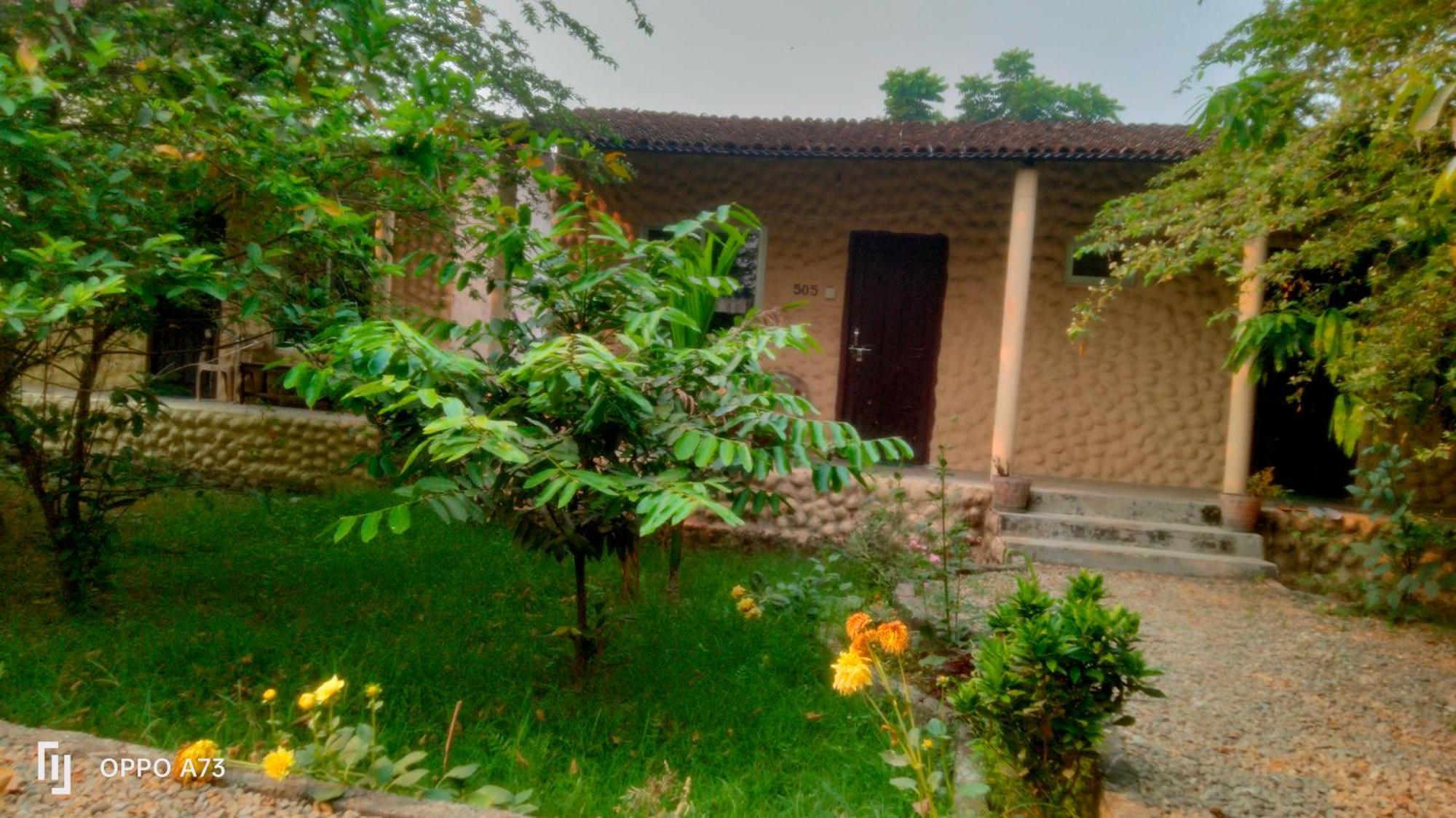 Hotel Tiger Tops Sauraha Rum bild