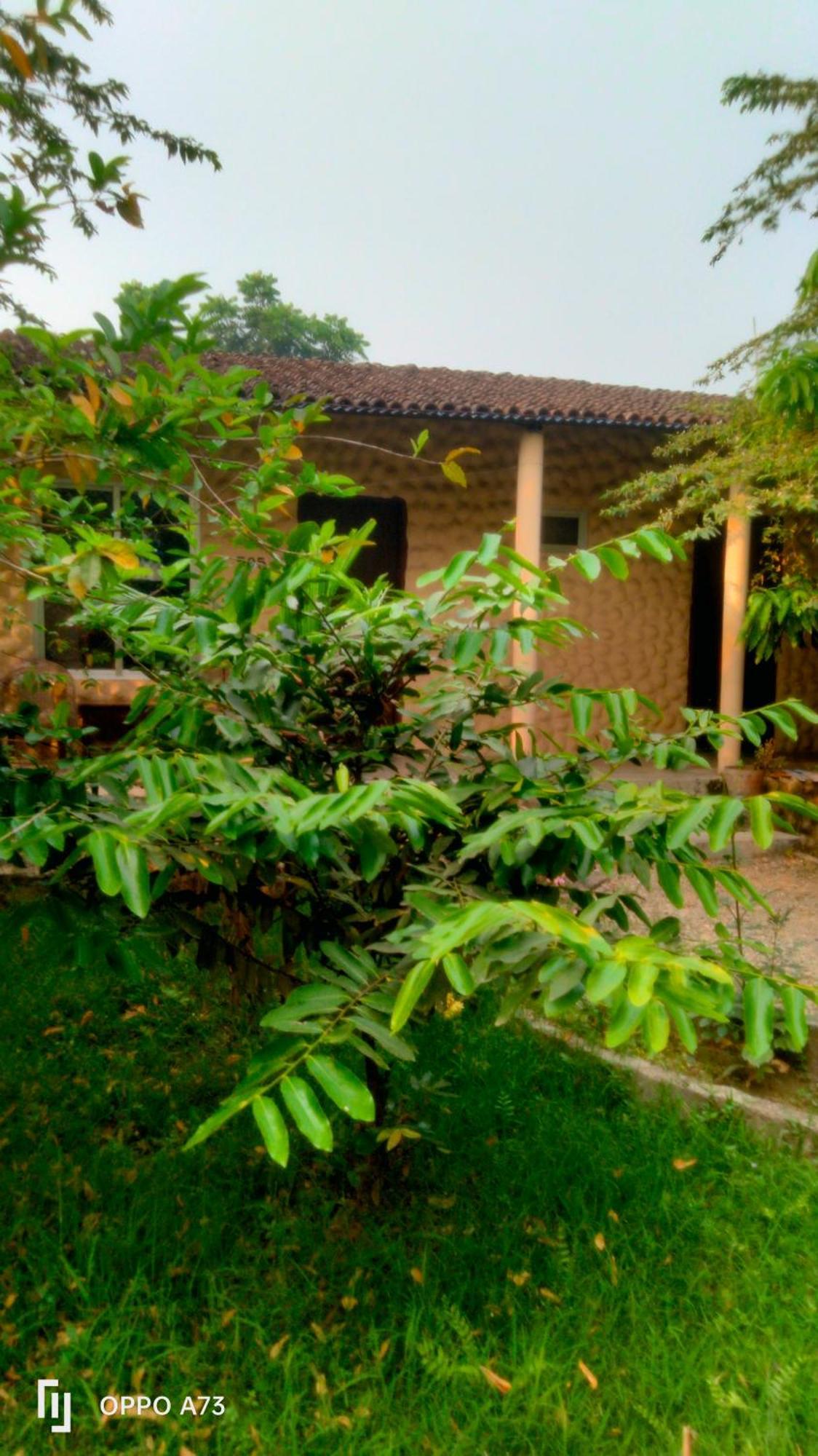 Hotel Tiger Tops Sauraha Rum bild