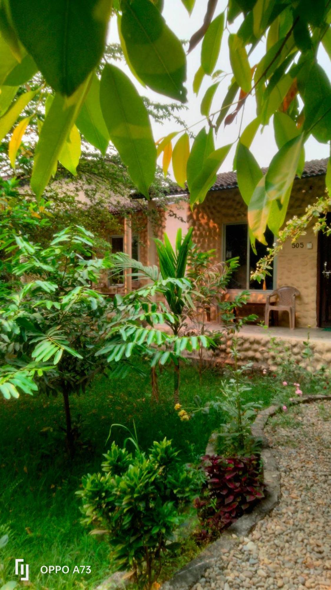 Hotel Tiger Tops Sauraha Rum bild