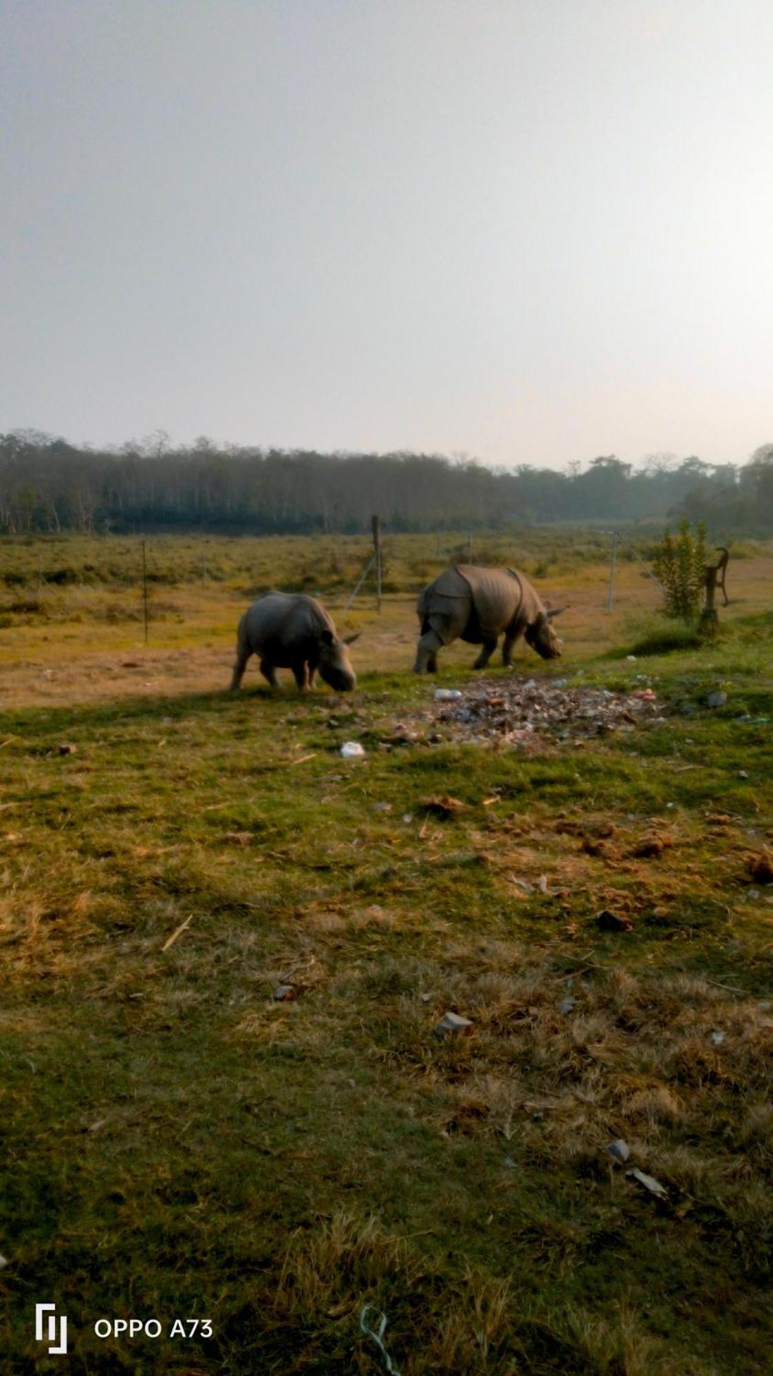 Hotel Tiger Tops Sauraha Exteriör bild