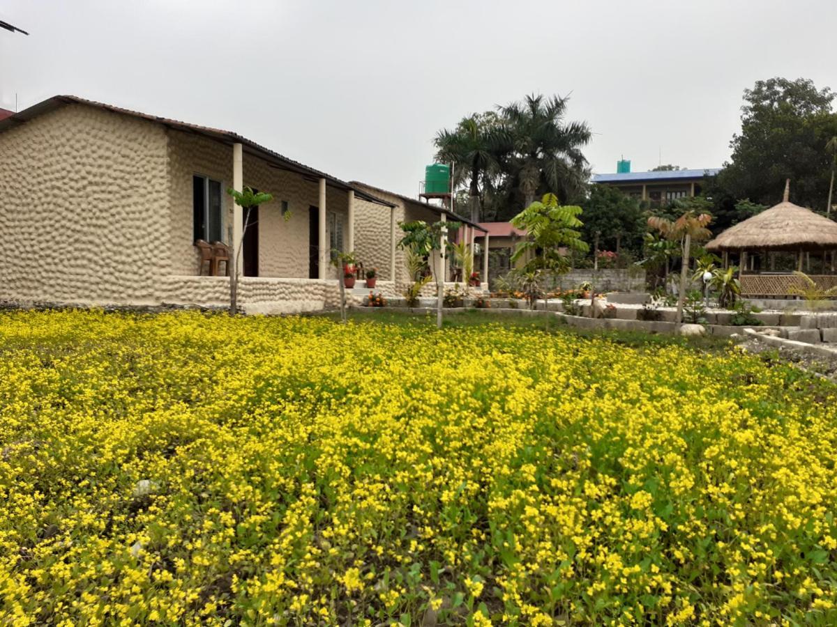 Hotel Tiger Tops Sauraha Exteriör bild
